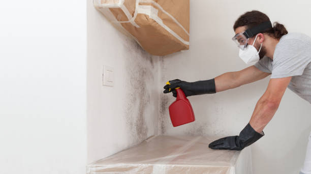 Professional Crawl Space Mold Remediation technician working in Greenville, IL