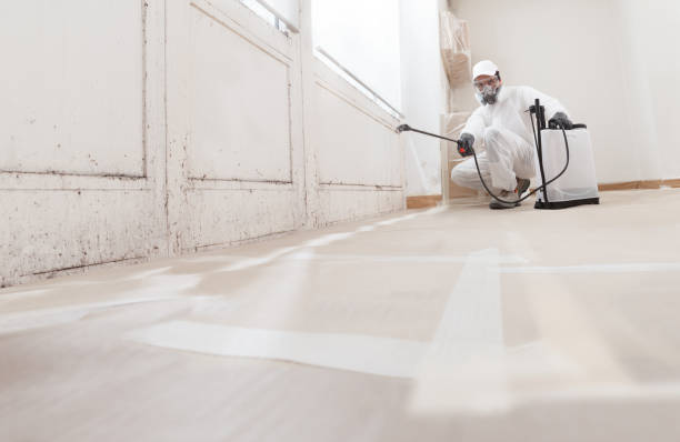 24/7 Emergency Crawl Space Mold Remediation experts in Greenville, IL